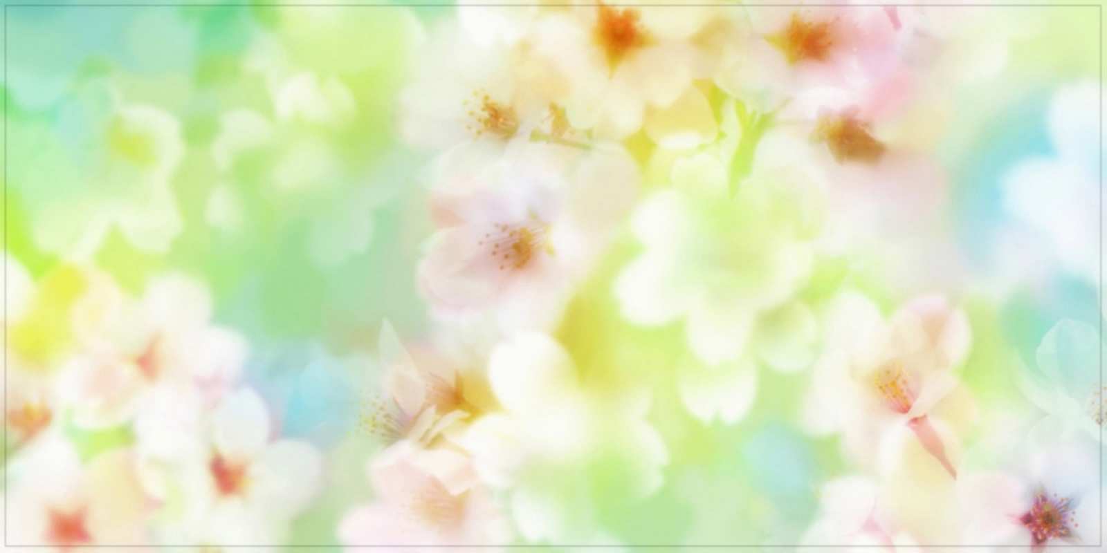 Открытка красивые цветы летнее настроение удачного летнего солнечного дня Күніңіз жақсы өтсін 