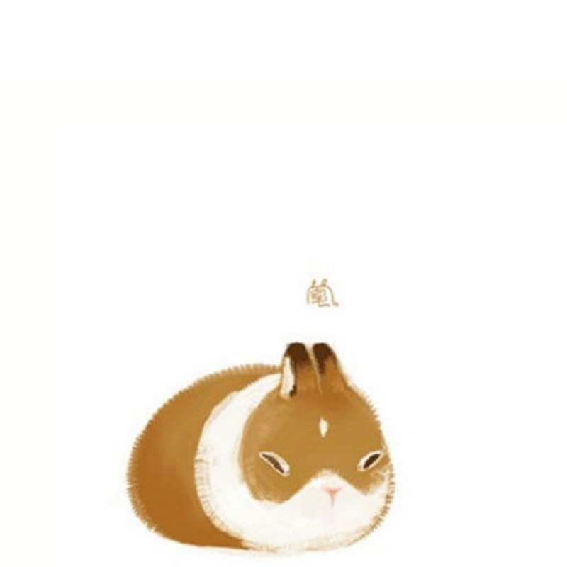 Открытка морская свинка лежит коричнево белый домашний питомец рахмет 