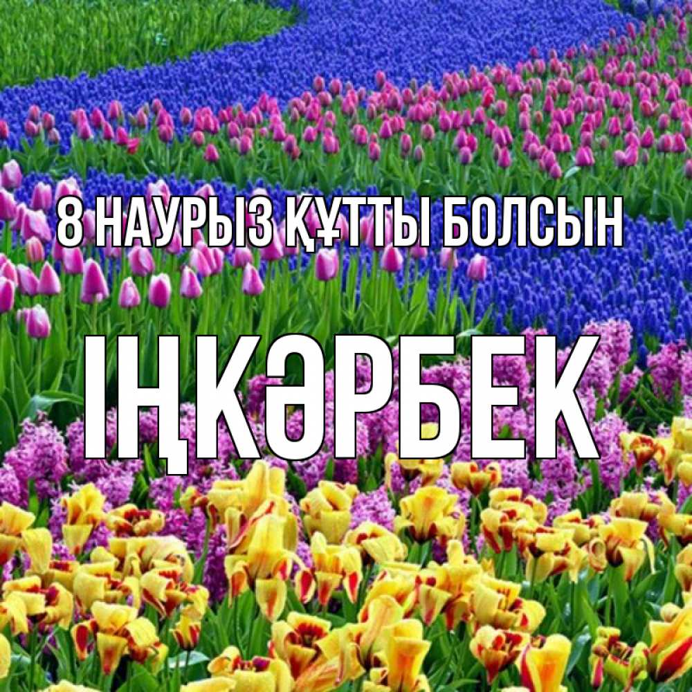 Күн сайын ашық хат с именем, ІҢКӘРБЕК 8 наурыз құтты болсын цветы Онлайн тегін жүктеп алу тілектері бар керемет карта 