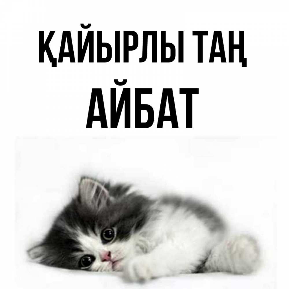 Күн сайын ашық хат с именем, Айбат Қайырлы таң кот лапки Онлайн тегін жүктеп алу тілектері бар керемет карта 