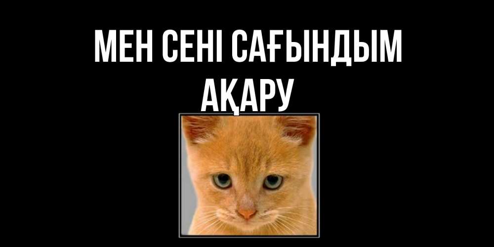 Күн сайын ашық хат с именем, АҚАРУ Мен сені сағындым открытки рыжий котенок скучает по тебе Онлайн тегін жүктеп алу тілектері бар керемет карта 