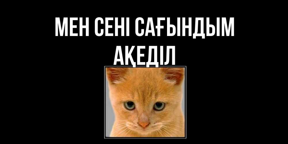 Күн сайын ашық хат с именем, Ақеділ Мен сені сағындым открытки рыжий котенок скучает по тебе Онлайн тегін жүктеп алу тілектері бар керемет карта 