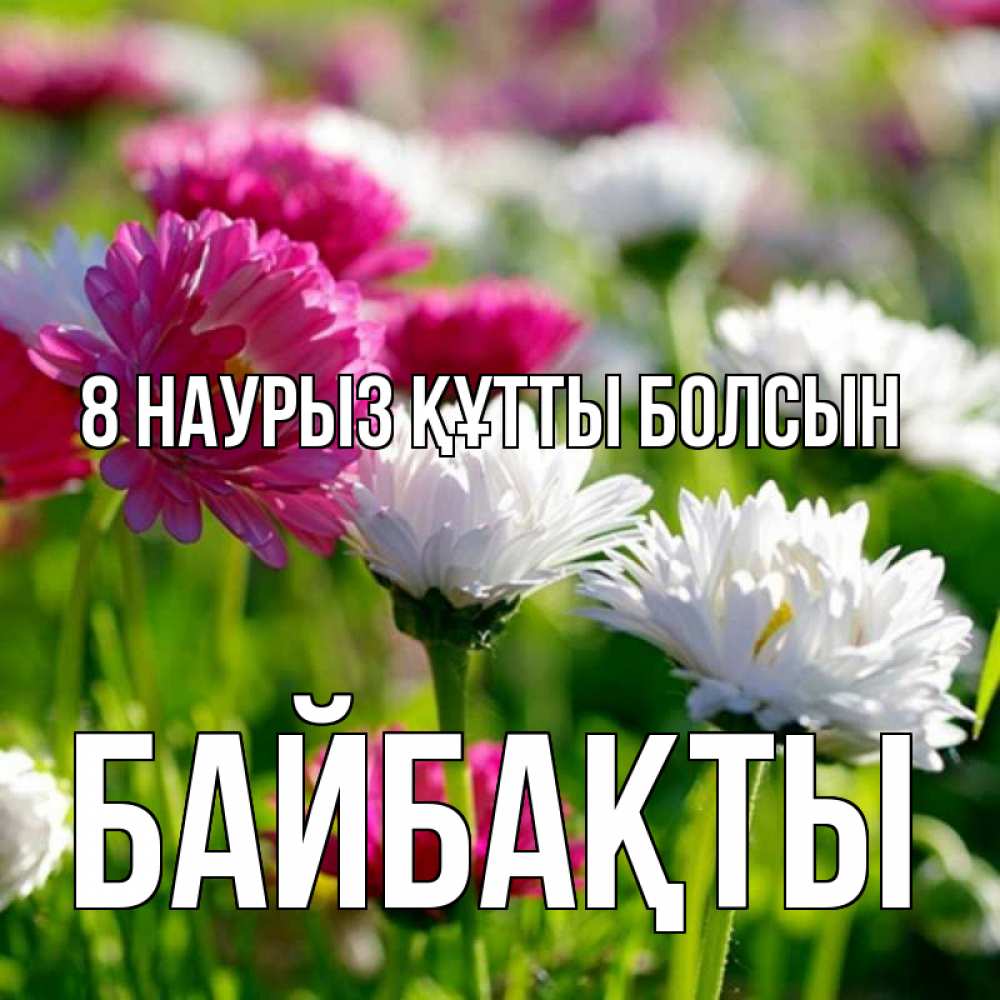 Күн сайын ашық хат с именем, Байбақты 8 наурыз құтты болсын международный женский день 1 Онлайн тегін жүктеп алу тілектері бар керемет карта 