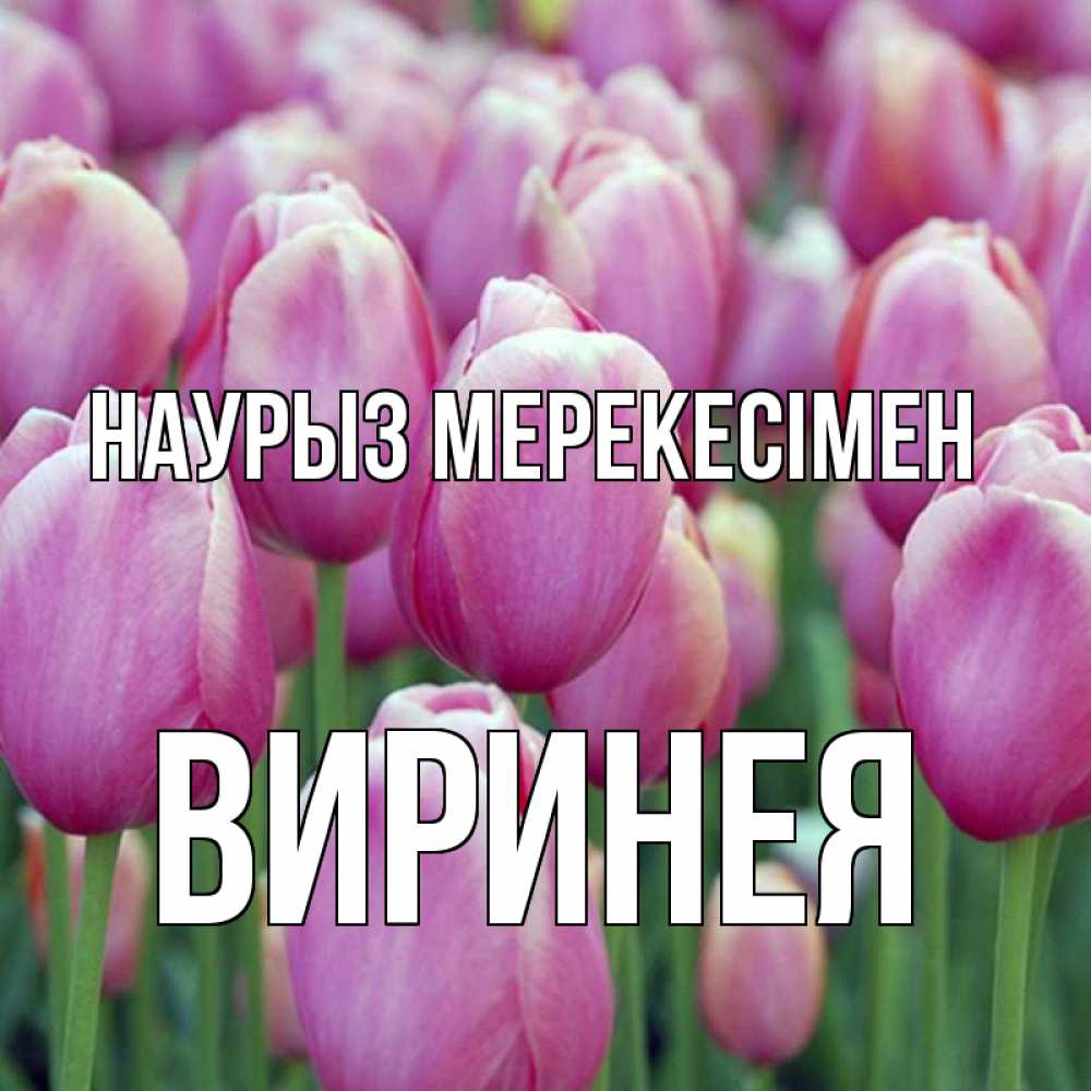 Күн сайын ашық хат с именем, Виринея Наурыз мерекесімен праздник весны наурыз 69 Онлайн тегін жүктеп алу тілектері бар керемет карта 