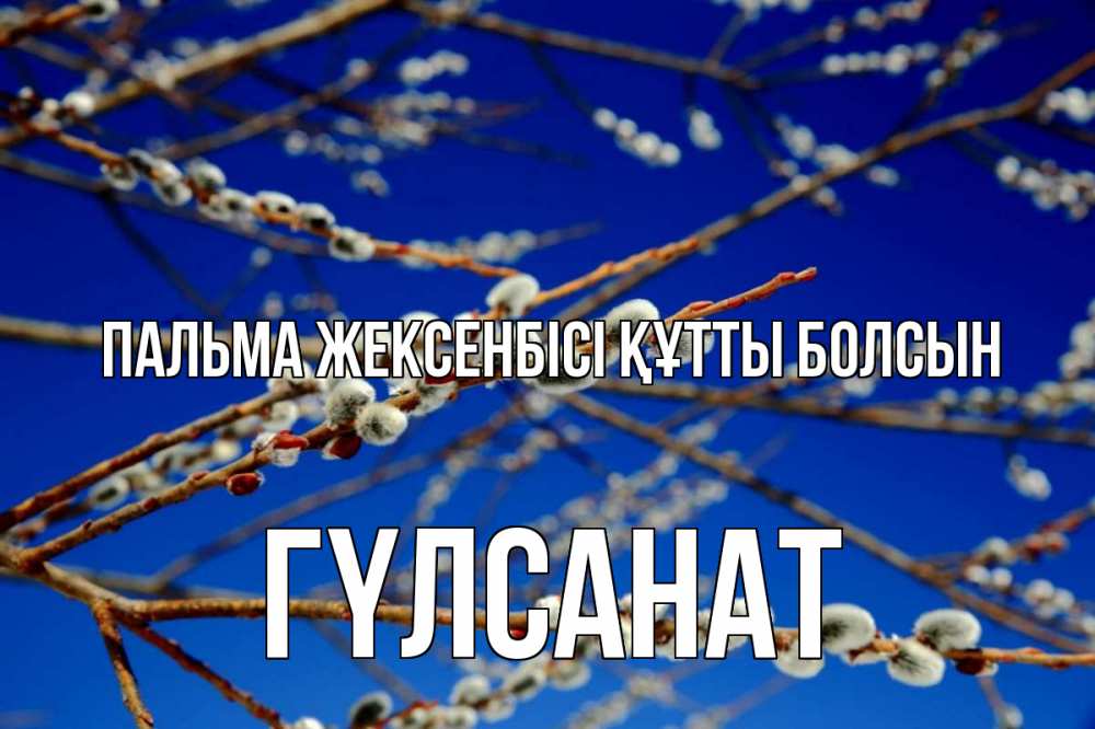 Күн сайын ашық хат с именем, ГҮЛСАНАТ Пальма жексенбісі құтты болсын верба Онлайн тегін жүктеп алу тілектері бар керемет карта 