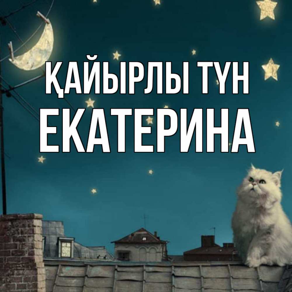 Күн сайын ашық хат с именем, Екатерина Қайырлы түн белый кот сидит на крыше Онлайн тегін жүктеп алу тілектері бар керемет карта 
