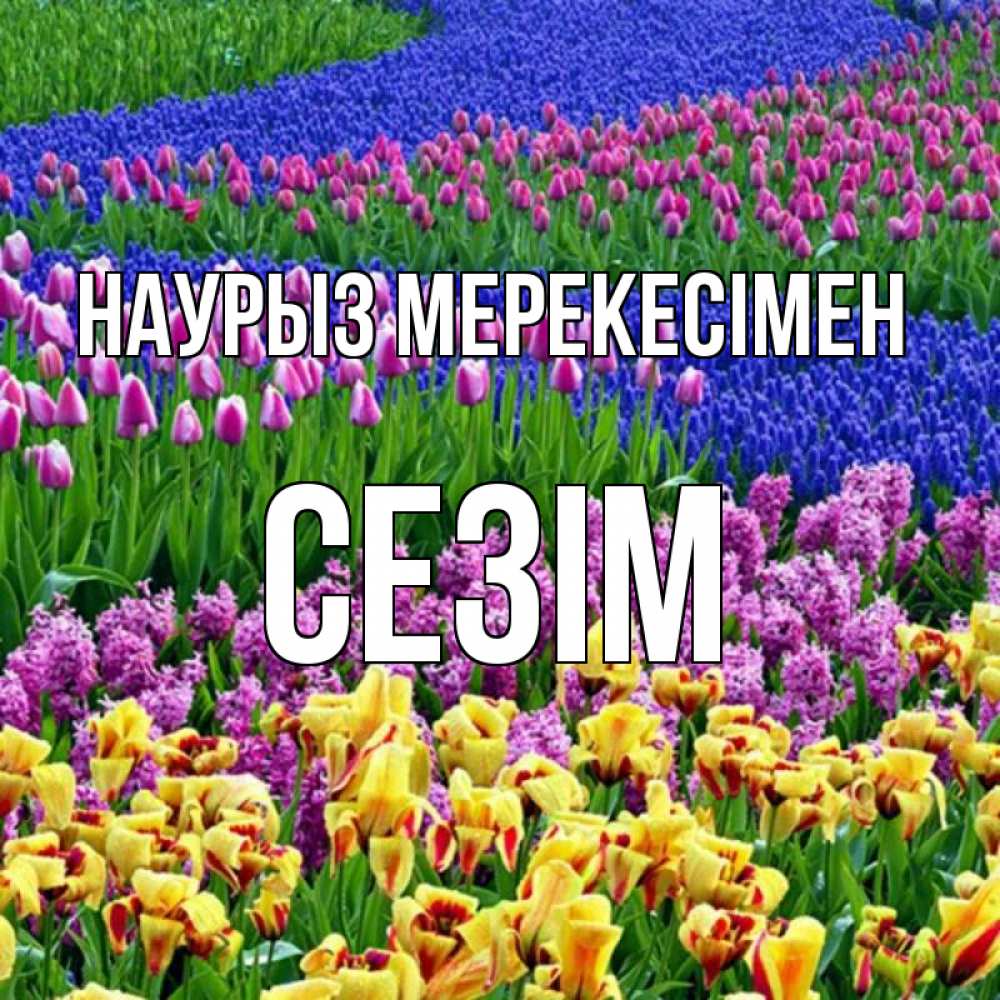 Күн сайын ашық хат с именем, СЕЗІМ Наурыз мерекесімен цветы Онлайн тегін жүктеп алу тілектері бар керемет карта 