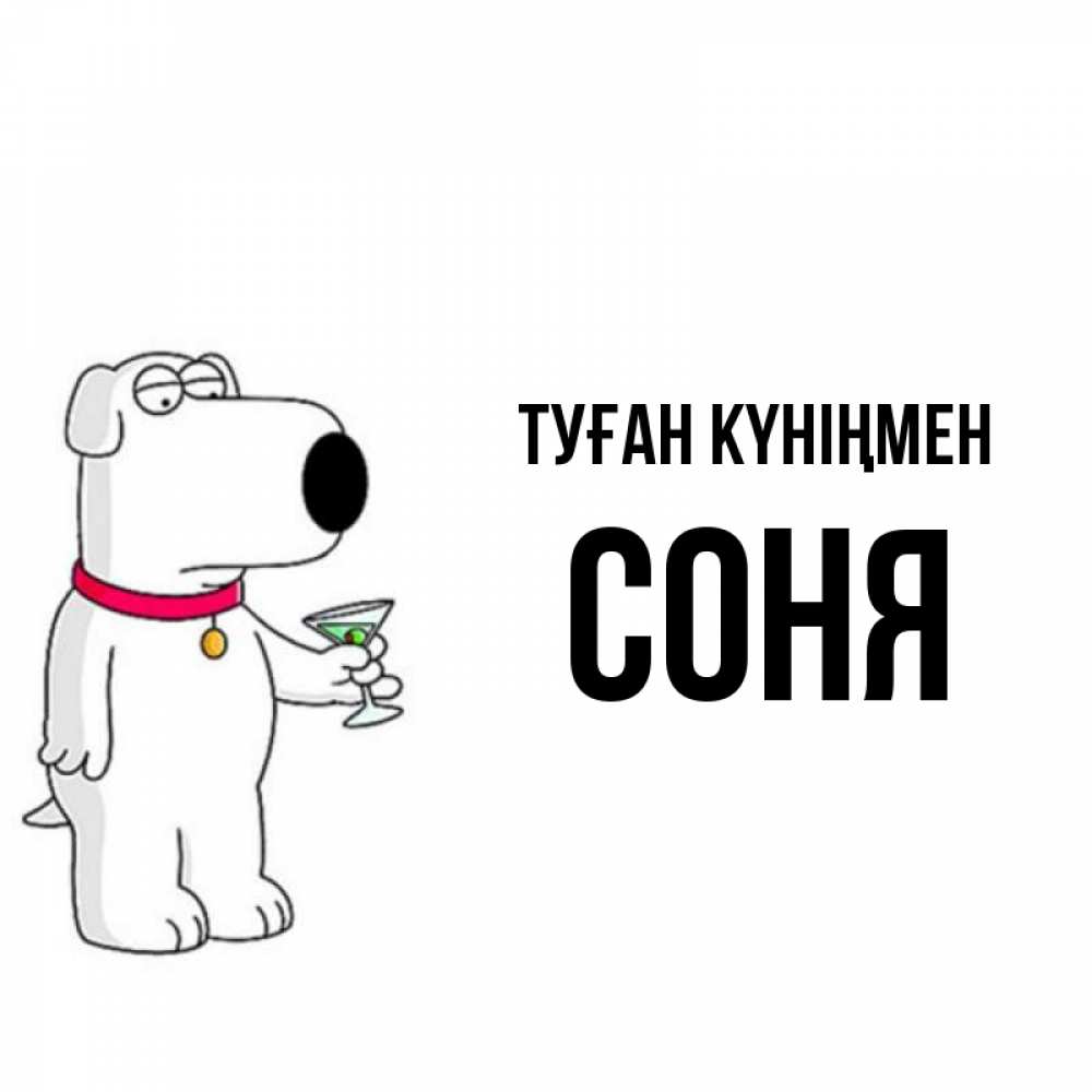 Күн сайын ашық хат с именем, Соня Туған күніңмен песик с оливками Онлайн тегін жүктеп алу тілектері бар керемет карта 