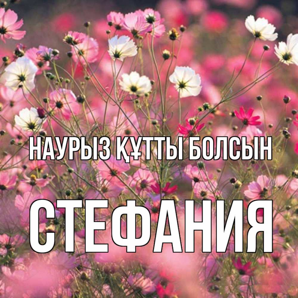 Күн сайын ашық хат с именем, Стефания Наурыз құтты болсын красиво 1 Онлайн тегін жүктеп алу тілектері бар керемет карта 