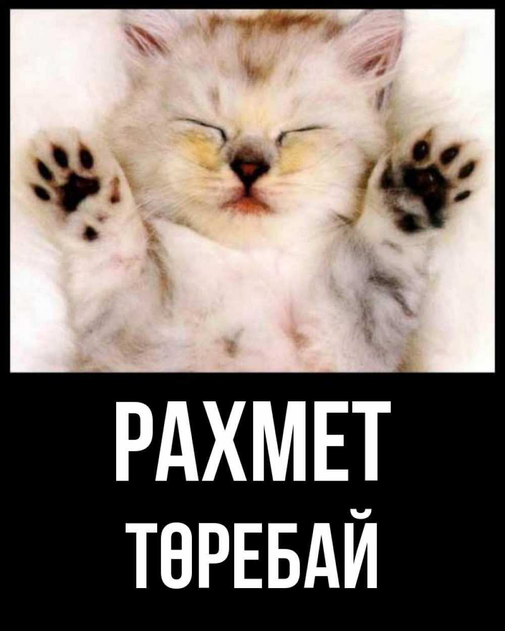 Күн сайын ашық хат с именем, Төребай рахмет маленький котенок Онлайн тегін жүктеп алу тілектері бар керемет карта 
