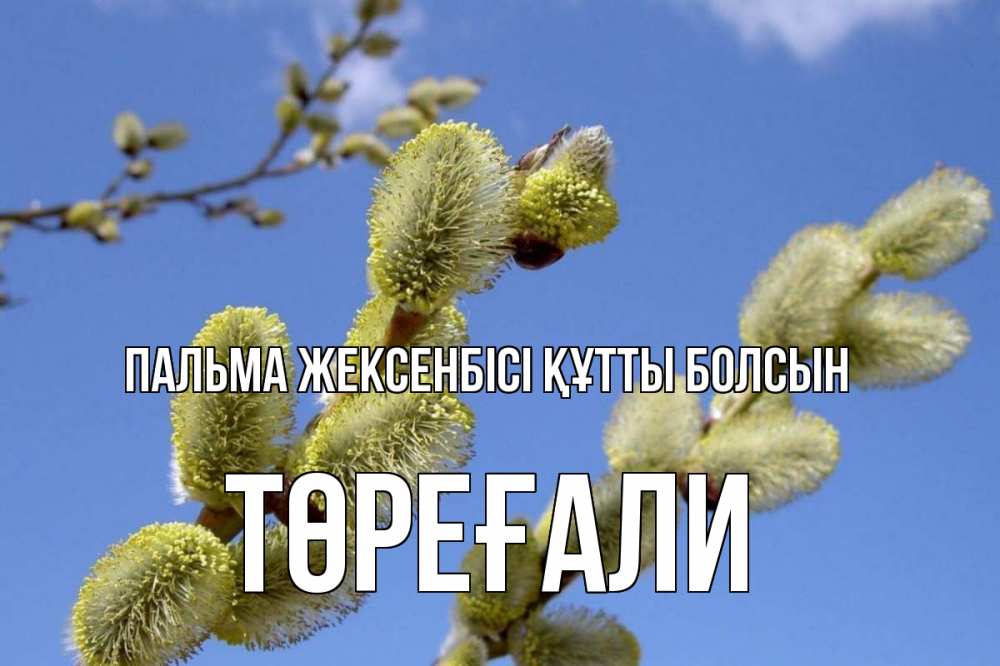 Күн сайын ашық хат с именем, Төреғали Пальма жексенбісі құтты болсын верба Онлайн тегін жүктеп алу тілектері бар керемет карта 