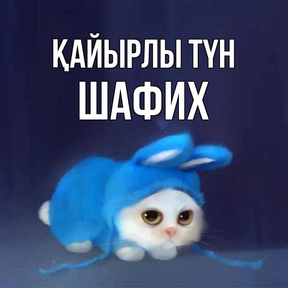 Күн сайын ашық хат с именем, ШАФИХ Қайырлы түн кот в голубом костюме кролика с ушками Онлайн тегін жүктеп алу тілектері бар керемет карта 