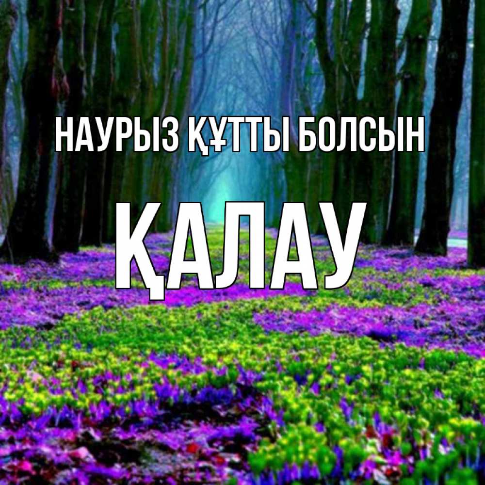 Күн сайын ашық хат с именем, Қалау Наурыз құтты болсын фиолетовые цветы в лесу 1 Онлайн тегін жүктеп алу тілектері бар керемет карта 