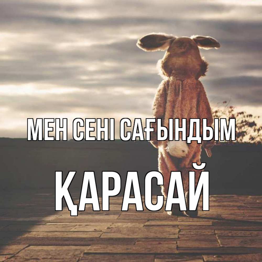 Күн сайын ашық хат с именем, Қарасай Мен сені сағындым даже в костюме зайца Онлайн тегін жүктеп алу тілектері бар керемет карта 