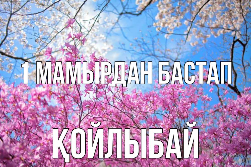 Күн сайын ашық хат с именем, Қойлыбай 1 мамырдан бастап С 1 мая Онлайн тегін жүктеп алу тілектері бар керемет карта 