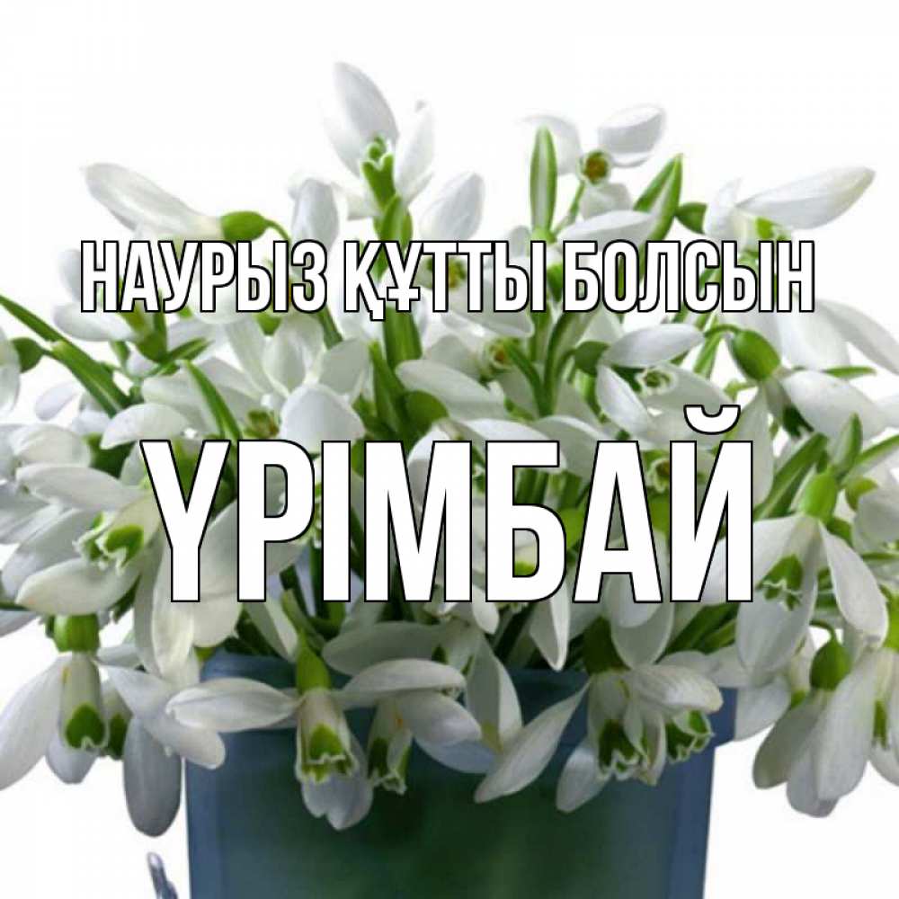 Күн сайын ашық хат с именем, ҮРІМБАЙ Наурыз құтты болсын цветы к наурызу Онлайн тегін жүктеп алу тілектері бар керемет карта 