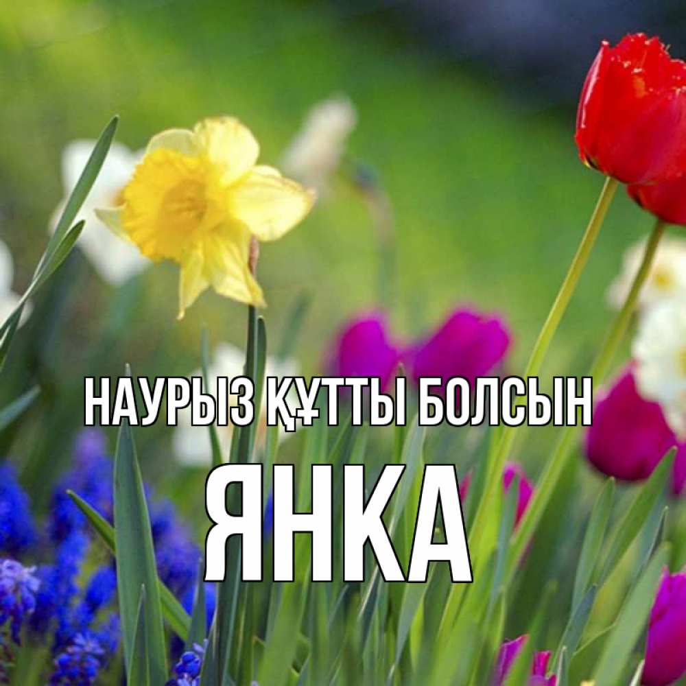 Күн сайын ашық хат с именем, Янка Наурыз құтты болсын наурыз  3 открытки Онлайн тегін жүктеп алу тілектері бар керемет карта 