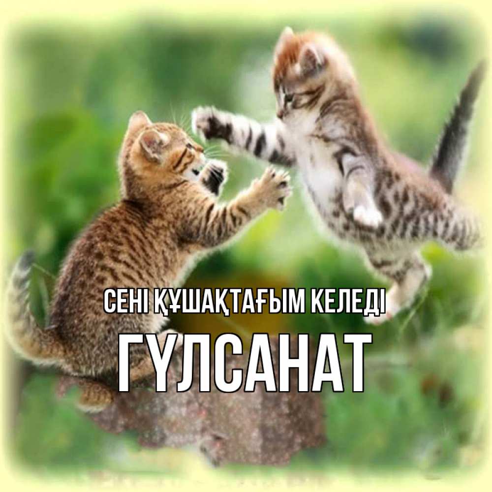 Күн сайын ашық хат с именем, ГҮЛСАНАТ сені құшақтағым келеді игры котят Онлайн тегін жүктеп алу тілектері бар керемет карта 