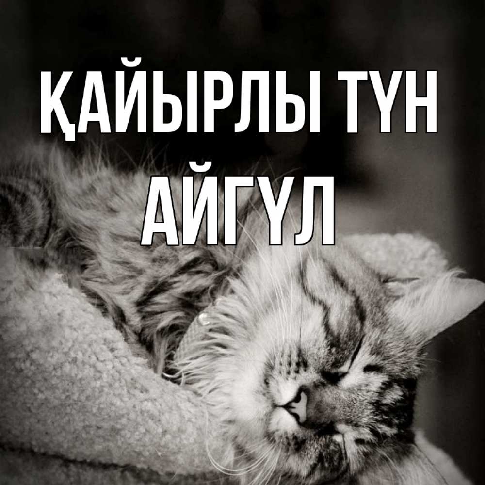 Күн сайын ашық хат с именем, АЙГҮЛ Қайырлы түн котярик пушистый Онлайн тегін жүктеп алу тілектері бар керемет карта 