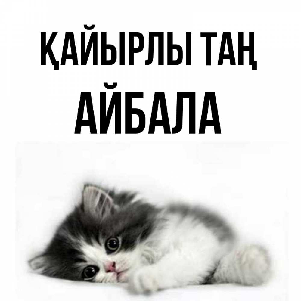 Күн сайын ашық хат с именем, Айбала Қайырлы таң кот лапки Онлайн тегін жүктеп алу тілектері бар керемет карта 