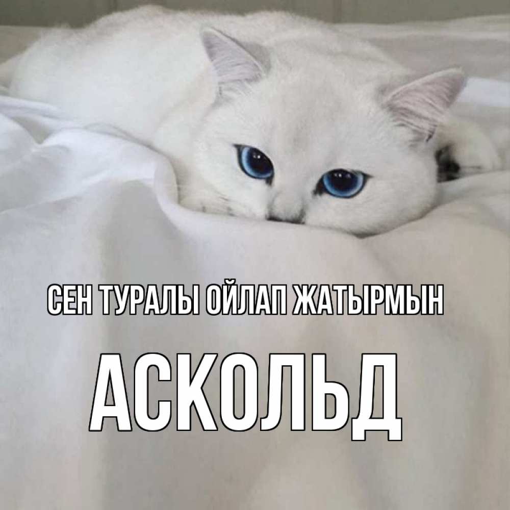 Күн сайын ашық хат с именем, Аскольд Сен туралы ойлап жатырмын я очень по тебе скучаю и тоскую Онлайн тегін жүктеп алу тілектері бар керемет карта 