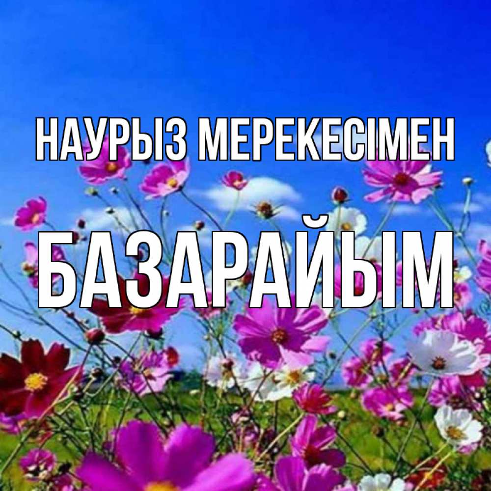 Күн сайын ашық хат с именем, БАЗАРАЙЫМ Наурыз мерекесімен цветы Онлайн тегін жүктеп алу тілектері бар керемет карта 