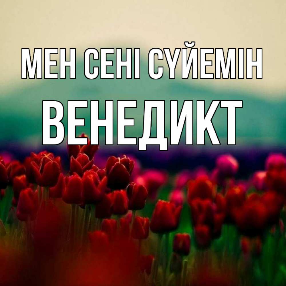 Күн сайын ашық хат с именем, Венедикт Мен сені сүйемін тюльпаны 4 Онлайн тегін жүктеп алу тілектері бар керемет карта 