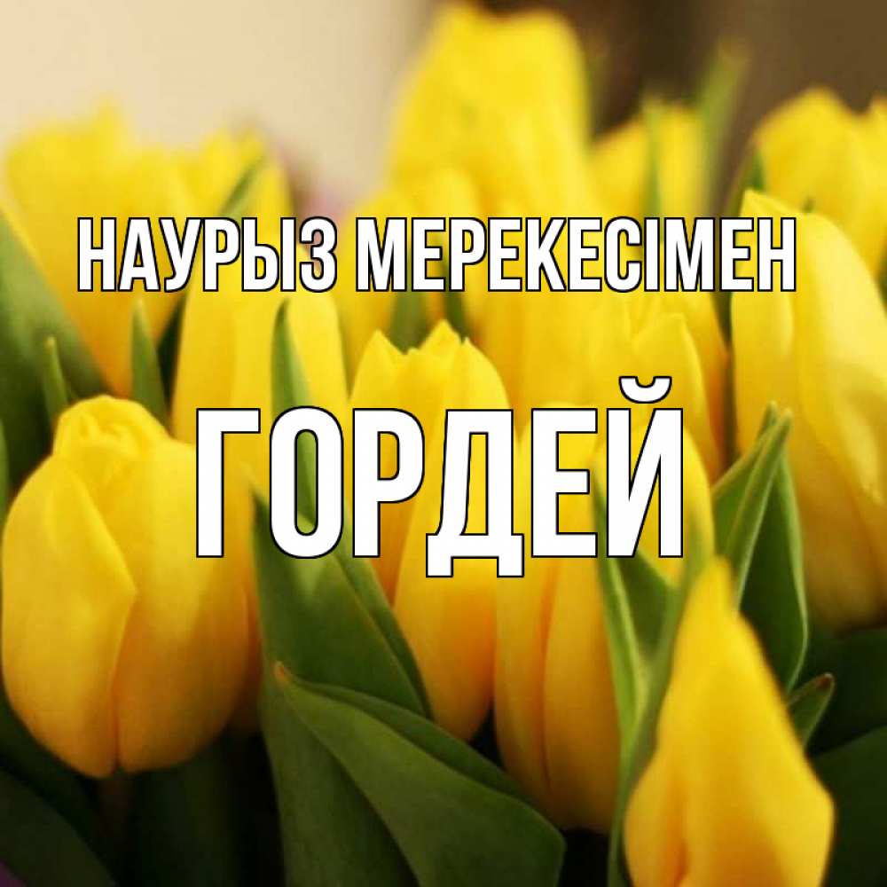 Күн сайын ашық хат с именем, Гордей Наурыз мерекесімен цветы Онлайн тегін жүктеп алу тілектері бар керемет карта 