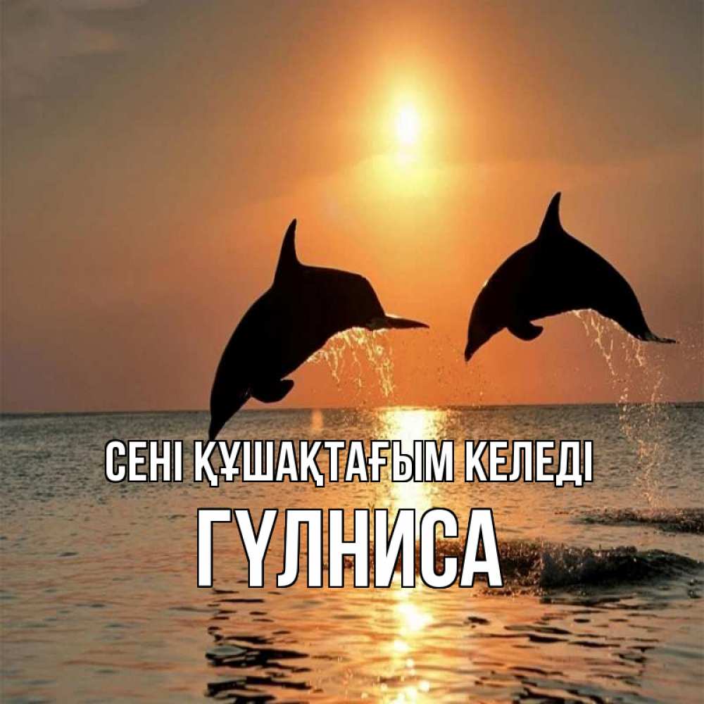 Күн сайын ашық хат с именем, ГҮЛНИСА сені құшақтағым келеді рыбы на закате Онлайн тегін жүктеп алу тілектері бар керемет карта 