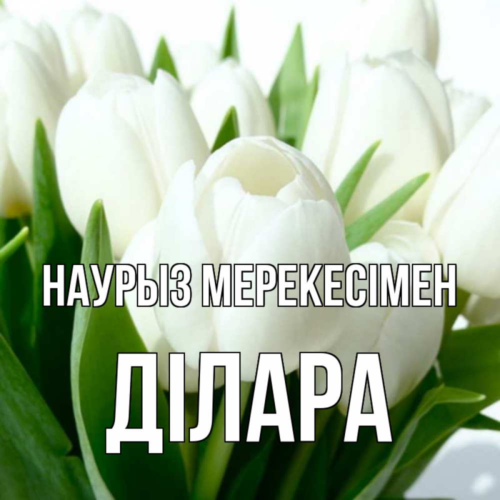Күн сайын ашық хат с именем, ДІЛАРА Наурыз мерекесімен цветы Онлайн тегін жүктеп алу тілектері бар керемет карта 