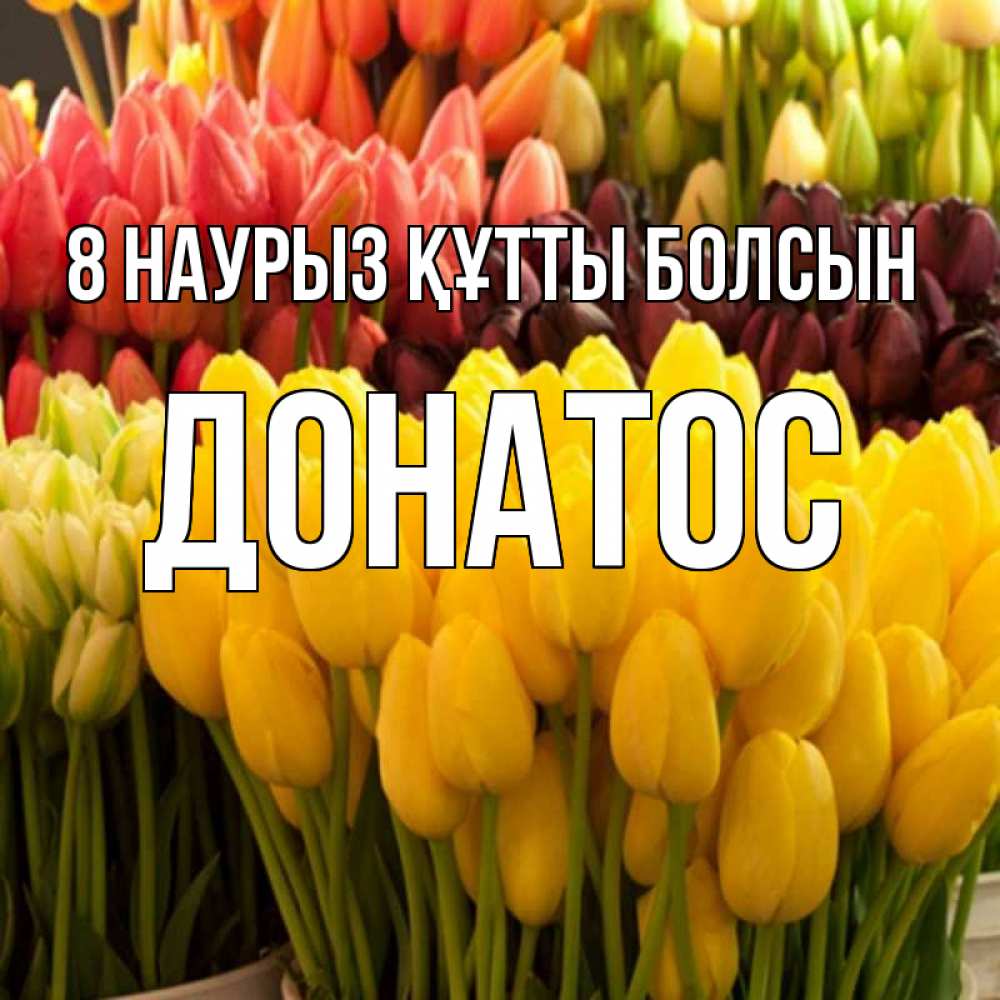 Күн сайын ашық хат с именем, Донатос 8 наурыз құтты болсын цветы Онлайн тегін жүктеп алу тілектері бар керемет карта 