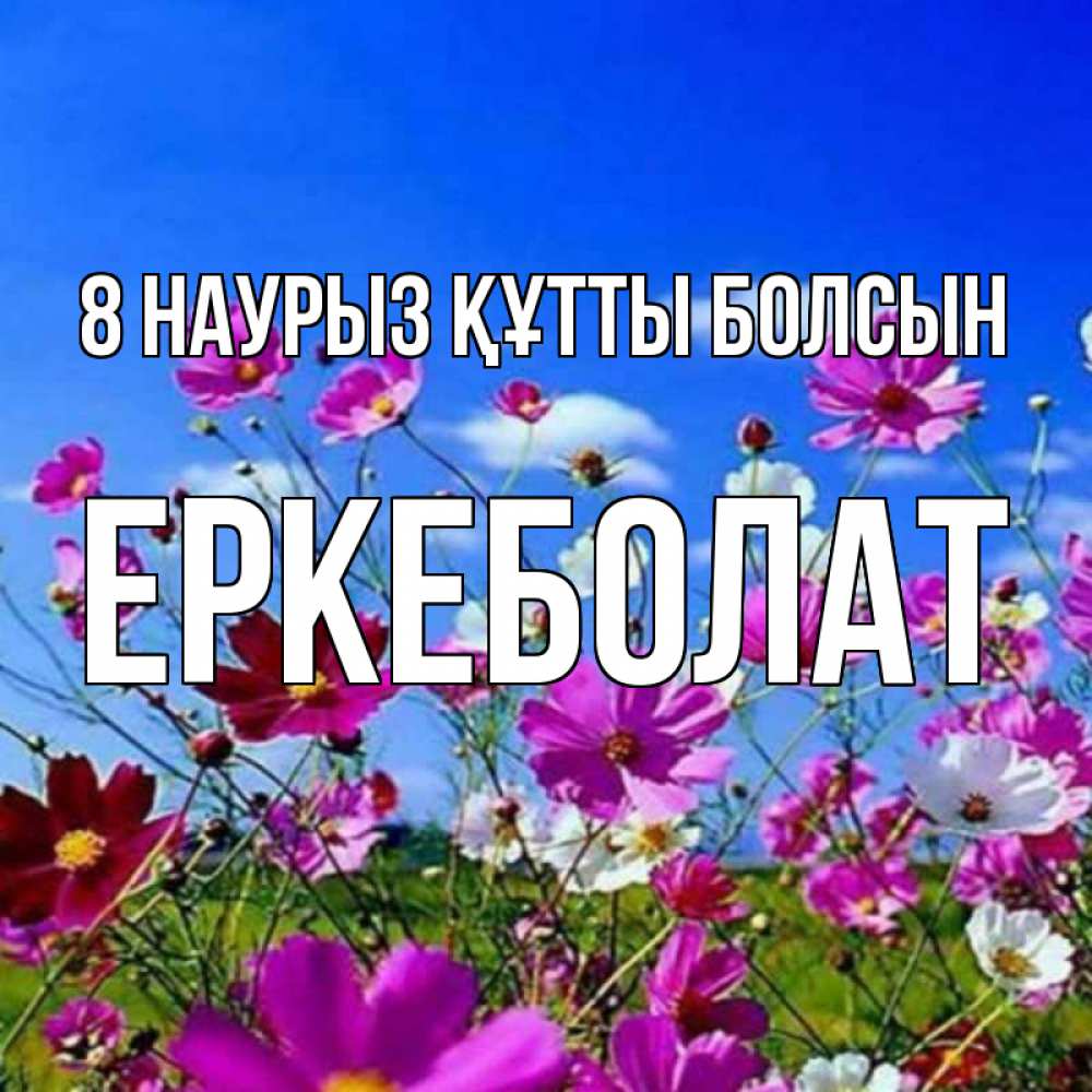 Күн сайын ашық хат с именем, Еркеболат 8 наурыз құтты болсын цветы Онлайн тегін жүктеп алу тілектері бар керемет карта 