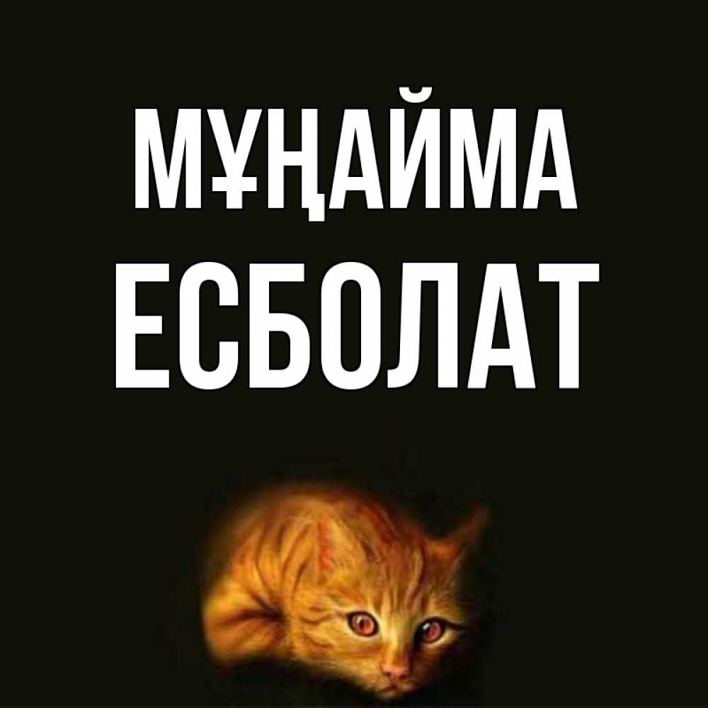 Күн сайын ашық хат с именем, Есболат Мұңайма лежащий кот в темноте Онлайн тегін жүктеп алу тілектері бар керемет карта 