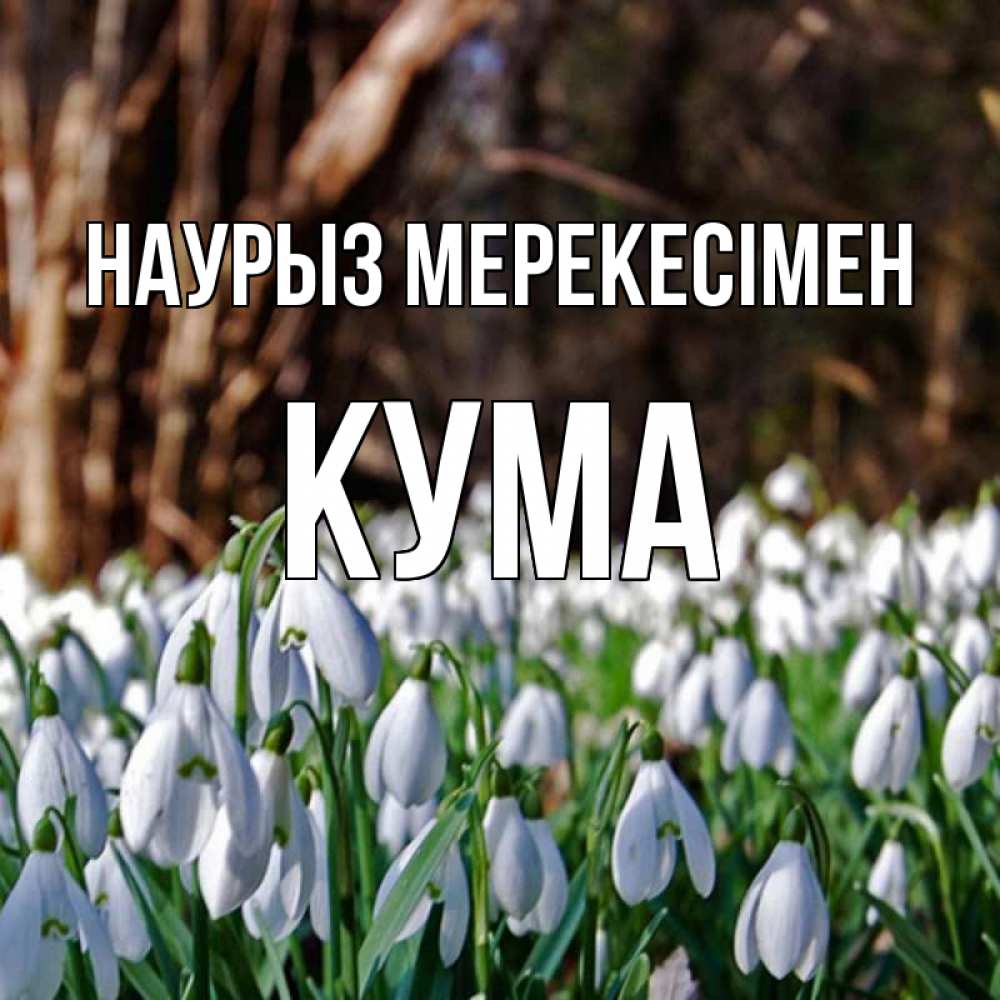 Күн сайын ашық хат с именем, Кума Наурыз мерекесімен с подснежниками 1 Онлайн тегін жүктеп алу тілектері бар керемет карта 