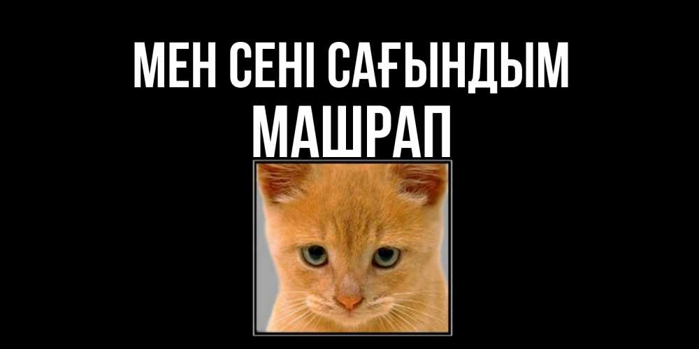 Күн сайын ашық хат с именем, МАШРАП Мен сені сағындым открытки рыжий котенок скучает по тебе Онлайн тегін жүктеп алу тілектері бар керемет карта 