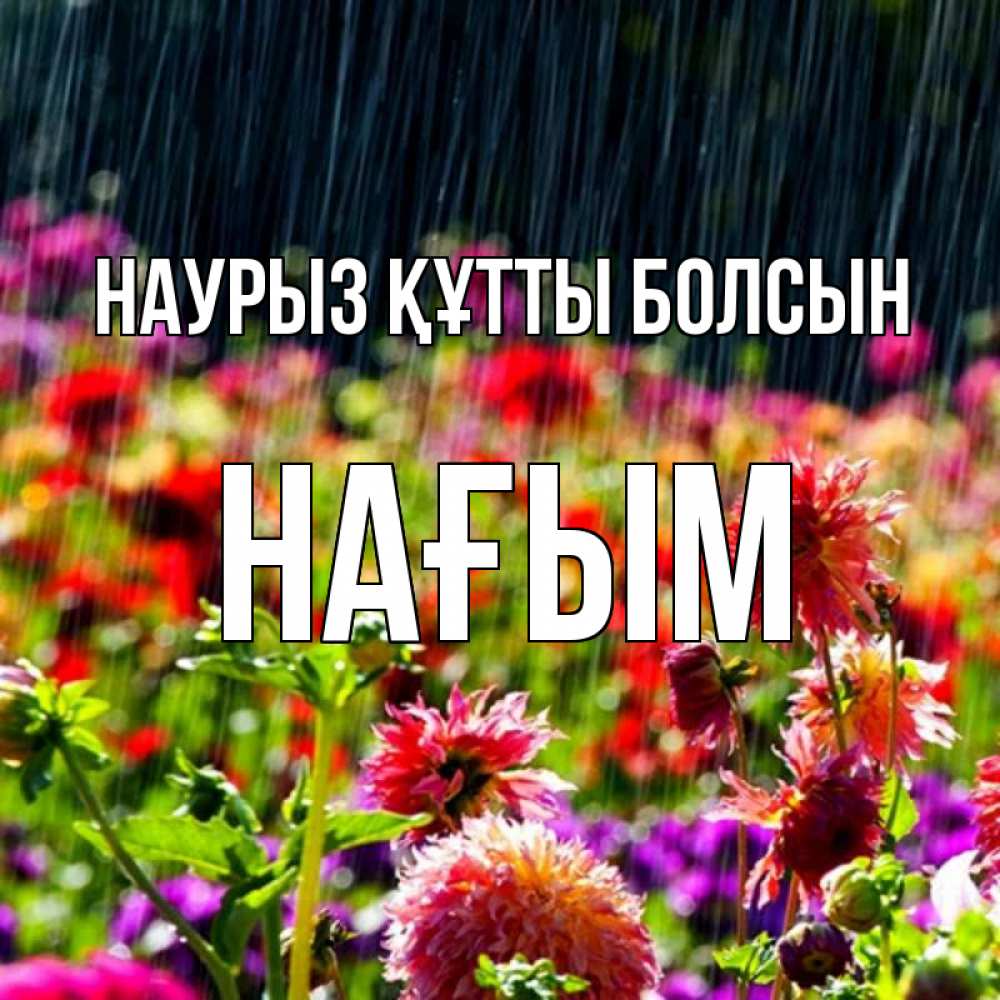 Күн сайын ашық хат с именем, НАҒЫМ Наурыз құтты болсын цветы под дождиком к наурызу Онлайн тегін жүктеп алу тілектері бар керемет карта 