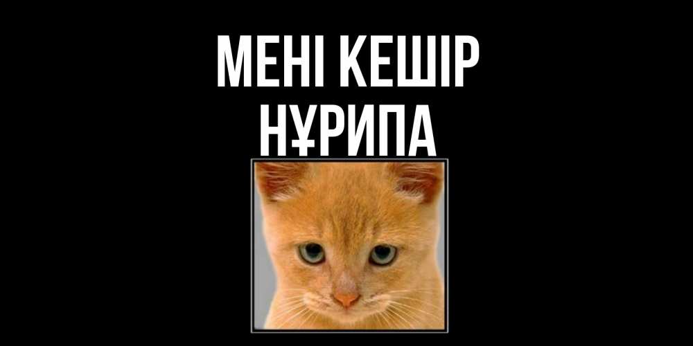 Күн сайын ашық хат с именем, НҰРИПА Мені кешір рыжий грустный кот просит прощения Онлайн тегін жүктеп алу тілектері бар керемет карта 