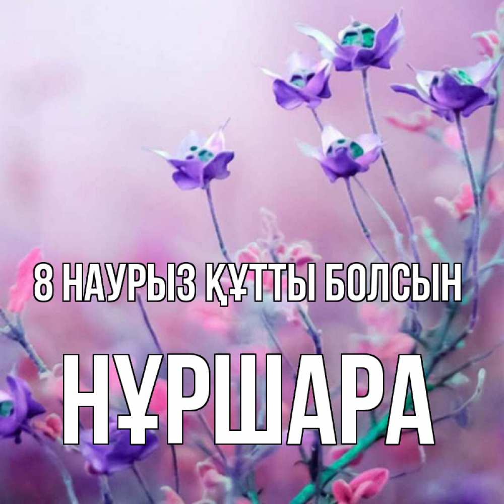 Күн сайын ашық хат с именем, НҰРШАРА 8 наурыз құтты болсын международный женский день 2 Онлайн тегін жүктеп алу тілектері бар керемет карта 