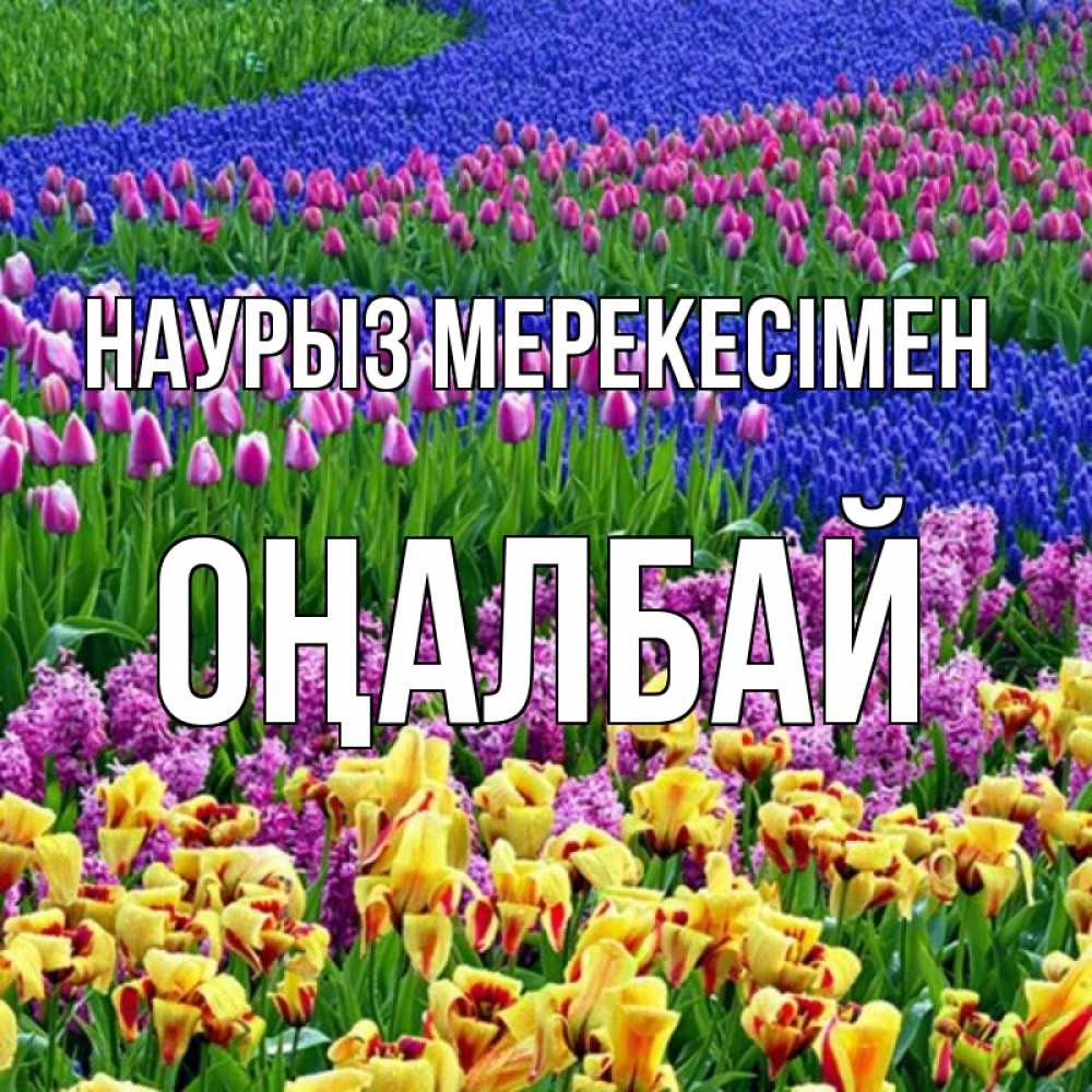Күн сайын ашық хат с именем, ОҢАЛБАЙ Наурыз мерекесімен цветы Онлайн тегін жүктеп алу тілектері бар керемет карта 