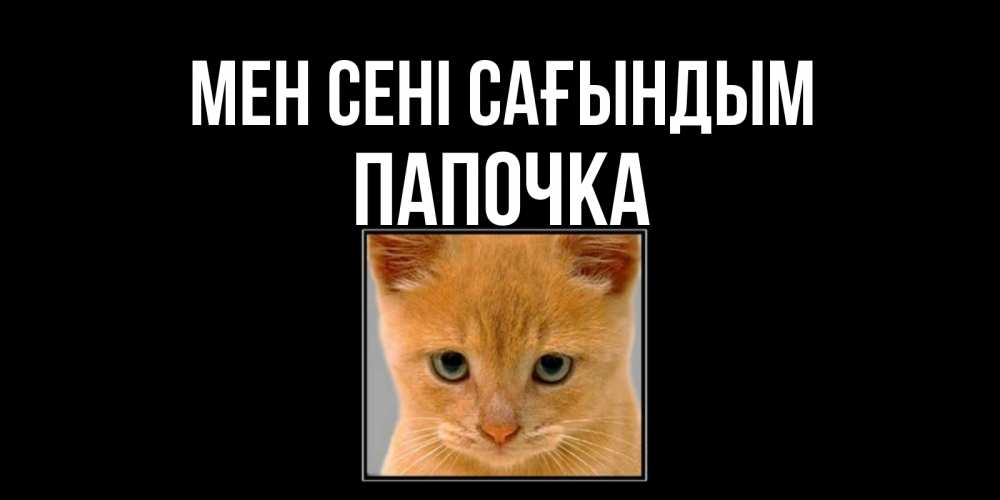 Күн сайын ашық хат с именем, Папочка Мен сені сағындым открытки рыжий котенок скучает по тебе Онлайн тегін жүктеп алу тілектері бар керемет карта 
