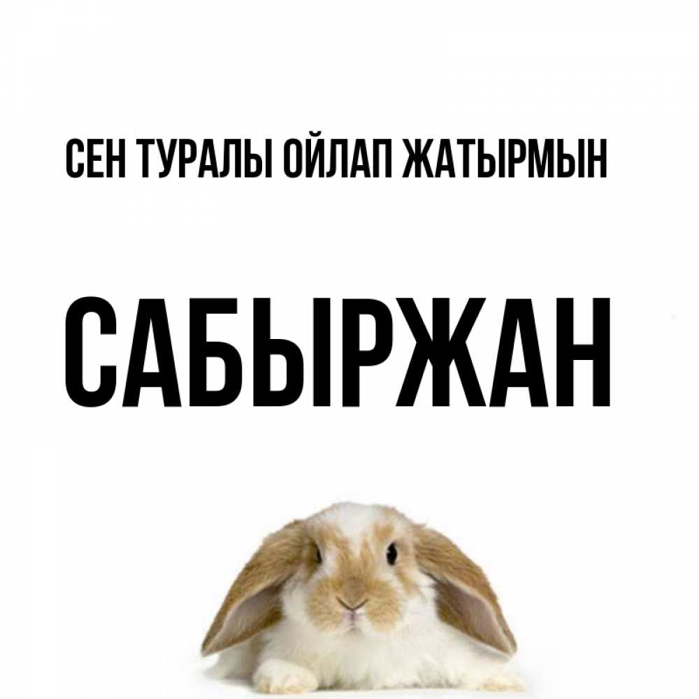 Күн сайын ашық хат с именем, САБЫРЖАН Сен туралы ойлап жатырмын подписать своими руками онлайн Онлайн тегін жүктеп алу тілектері бар керемет карта 