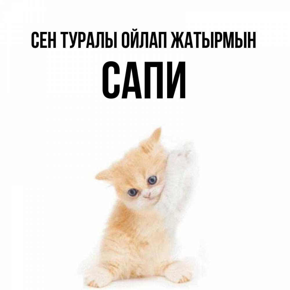 Күн сайын ашық хат с именем, САПИ Сен туралы ойлап жатырмын зверушки и милота Онлайн тегін жүктеп алу тілектері бар керемет карта 