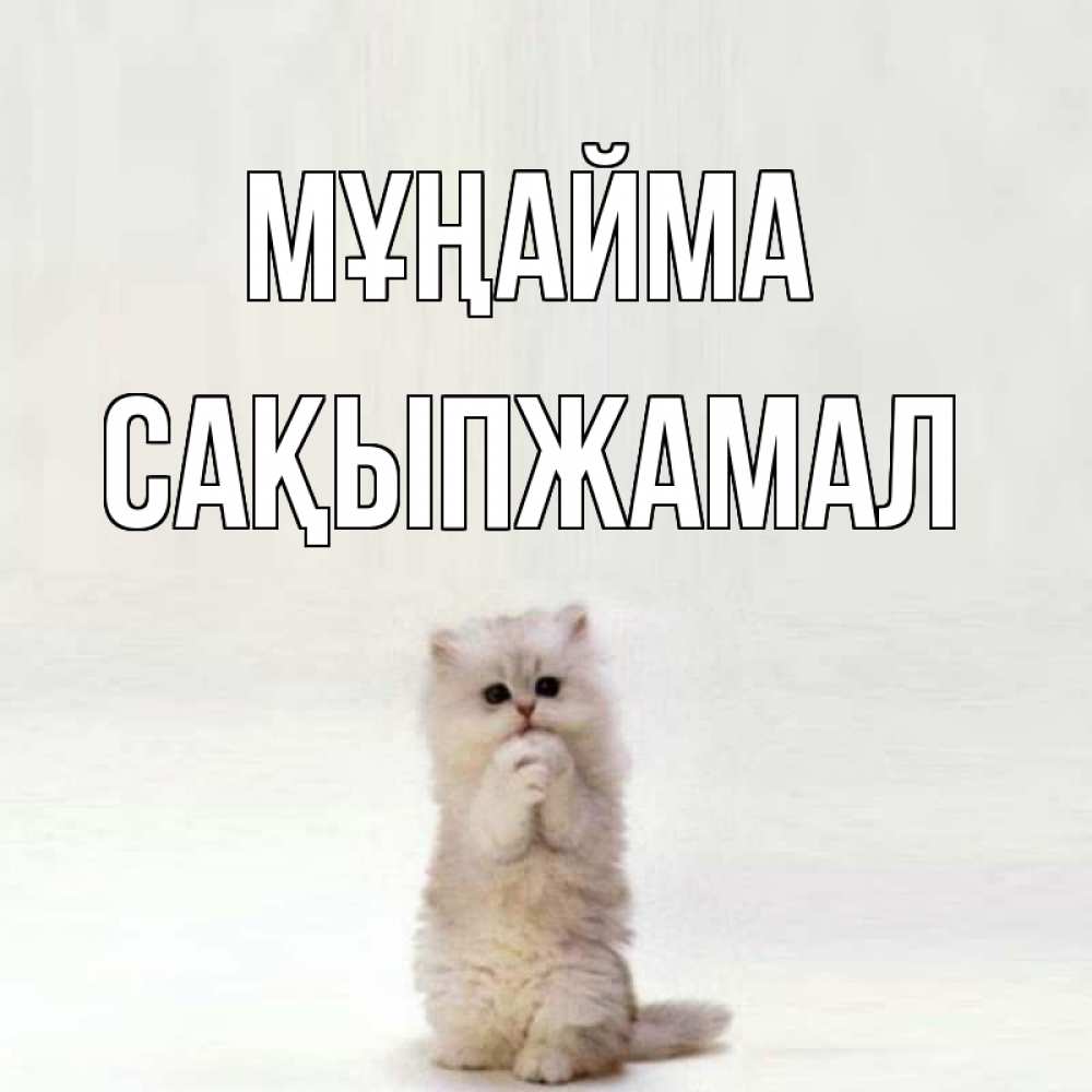 Күн сайын ашық хат с именем, САҚЫПЖАМАЛ Мұңайма грустный кот Онлайн тегін жүктеп алу тілектері бар керемет карта 