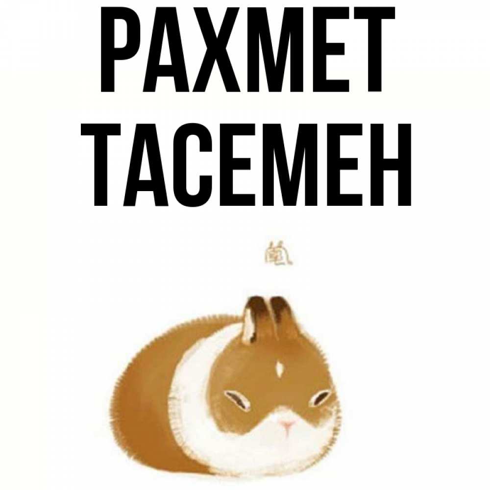 Күн сайын ашық хат с именем, ТАСЕМЕН рахмет коричнево белый домашний питомец Онлайн тегін жүктеп алу тілектері бар керемет карта 