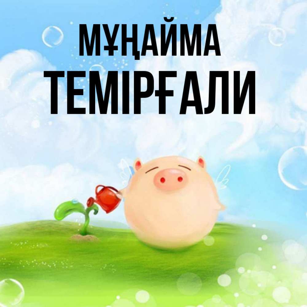 Күн сайын ашық хат с именем, ТЕМІРҒАЛИ Мұңайма поливает цветок порося Онлайн тегін жүктеп алу тілектері бар керемет карта 