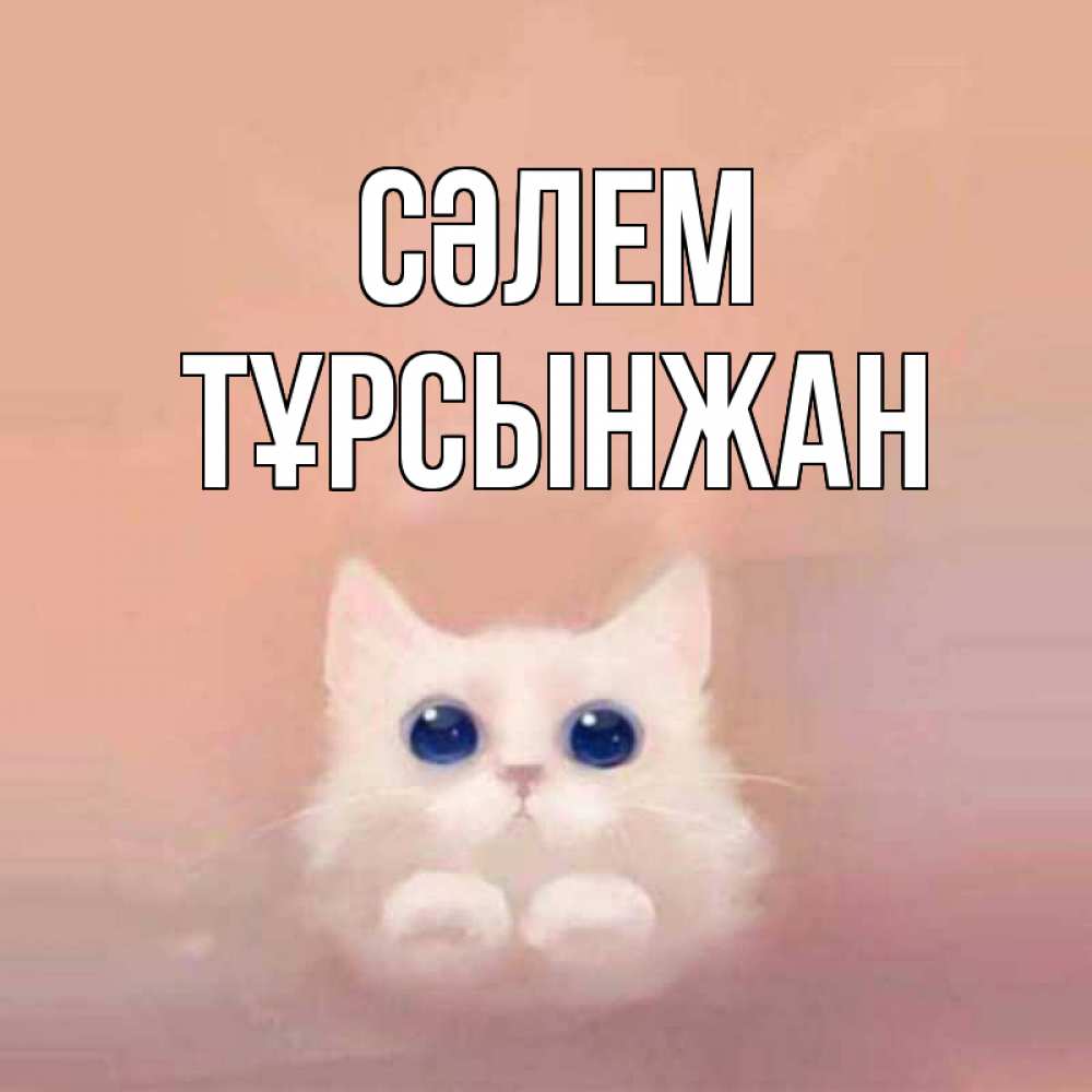 Күн сайын ашық хат с именем, ТҰРСЫНЖАН Сәлем котик белый в полете Онлайн тегін жүктеп алу тілектері бар керемет карта 