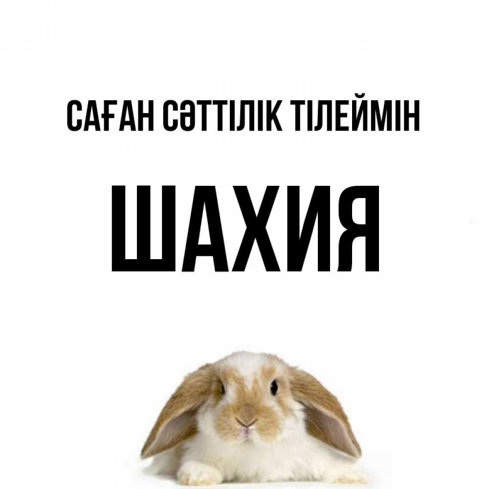 Күн сайын ашық хат с именем, ШАХИЯ Саған сәттілік тілеймін открытки с произвольным текстом который можно вставить в открытку и создать ее самостоятельно бесплатно онлайн Онлайн тегін жүктеп алу тілектері бар керемет карта 