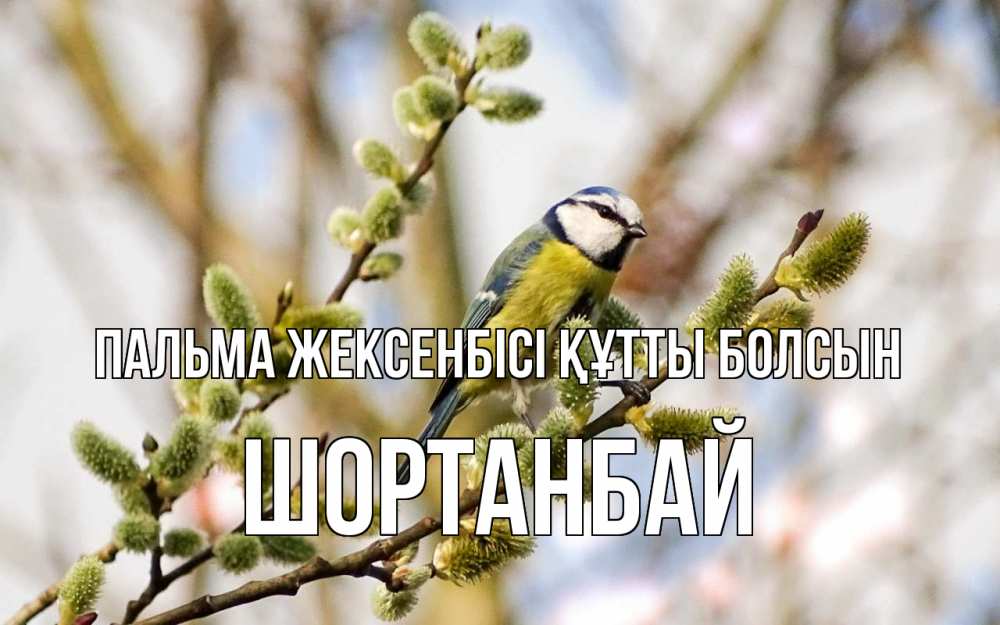 Күн сайын ашық хат с именем, ШОРТАНБАЙ Пальма жексенбісі құтты болсын верба Онлайн тегін жүктеп алу тілектері бар керемет карта 
