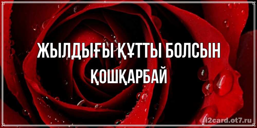 Күн сайын ашық хат с именем, ҚОШҚАРБАЙ Жылдығы құтты болсын крупная бордовая роза Онлайн тегін жүктеп алу тілектері бар керемет карта 