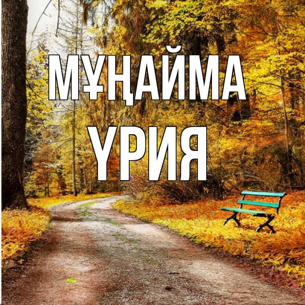 Күн сайын ашық хат с именем, ҮРИЯ Мұңайма зеленая лавочка Онлайн тегін жүктеп алу тілектері бар керемет карта 